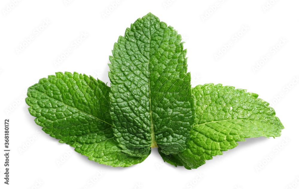 Fresh green mint on white background Fresh green mint on white background