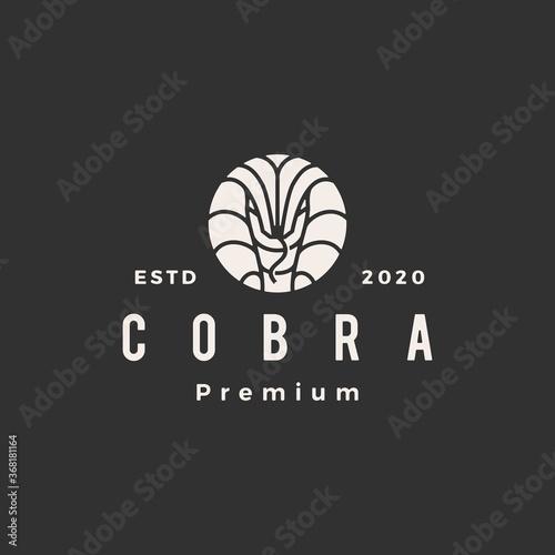 cobra hipster vintage logo vector icon illustration