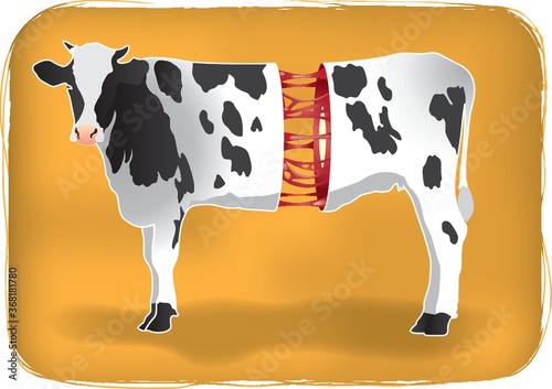 cow