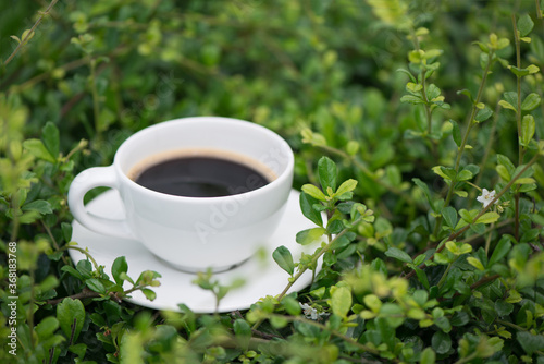 White cup of hot coffee on the plant green nature background. shallow focus.
