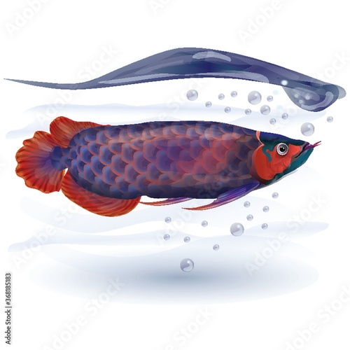 fish