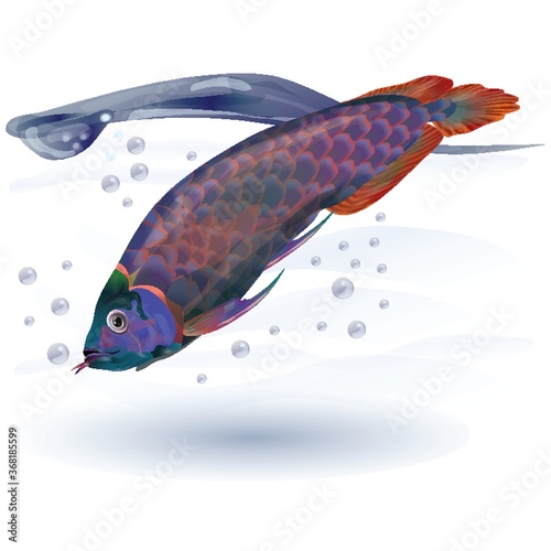 fish