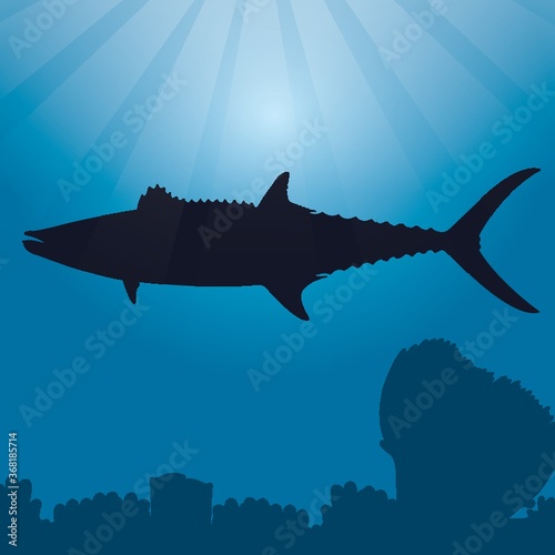 narrow-barred spanish mackerel silhouette