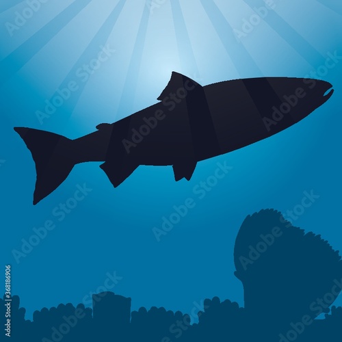 fish silhouette