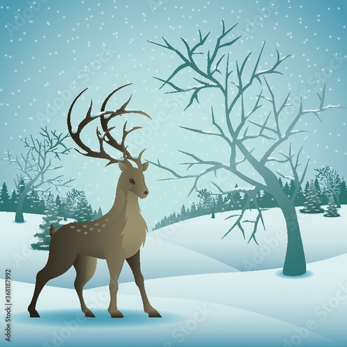 deer