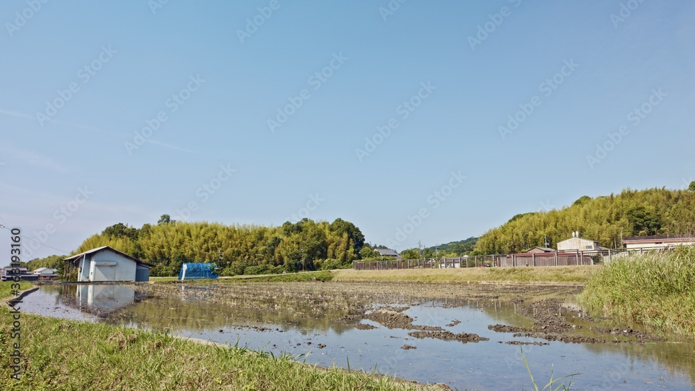 A rice field filled with water for agriculture in early summer in Nara, Japan