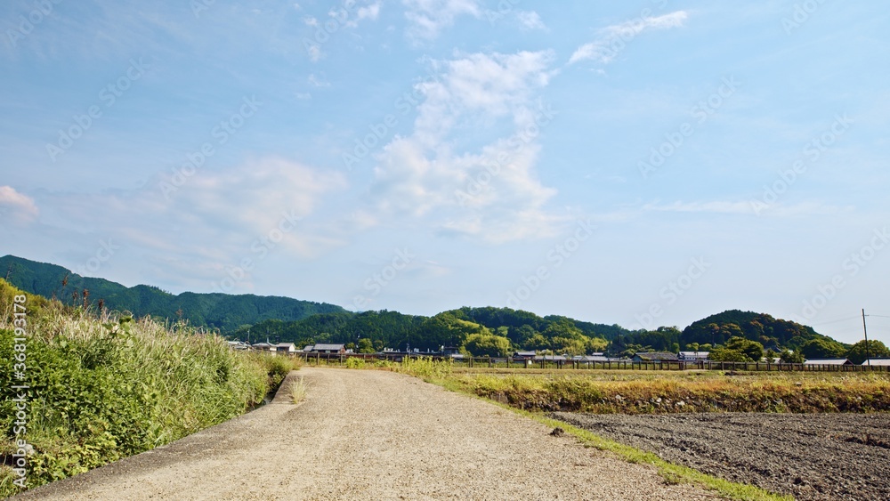 Early summer in Japan, a lone road and blue skies in an agricultural village deep in the mountains