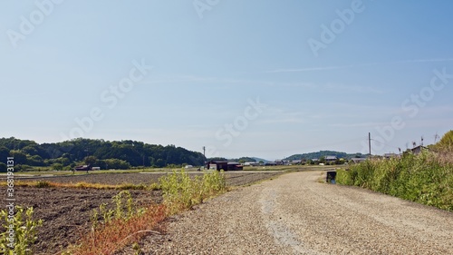 Early summer in Japan, a lone road and blue skies in an agricultural village deep in the mountains