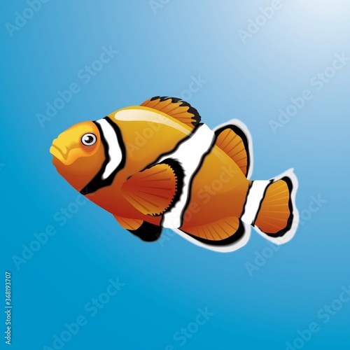 clownfish
