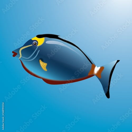 fish
