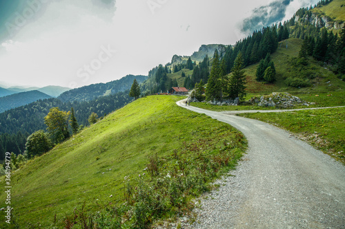 Road at Latschenkopf mountain, Jachenau (Bayrische Voralpen), Bavaria, Germany
