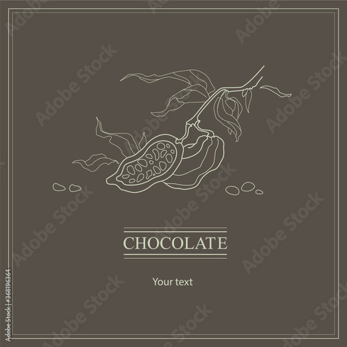 Brown retro banner with cocoa plant. Vintage picture about cacao and chocolate with line illustration.