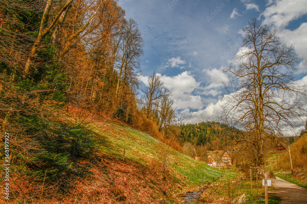 Fototapeta premium Landscape at Schliffkopf mountain during September, Black Forest, Baden-Württemberg, Germany