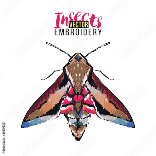 Stylish greeting card with night butterfly. Embroidery fashion patch with insects illustration. Trendy traditional art on white background.