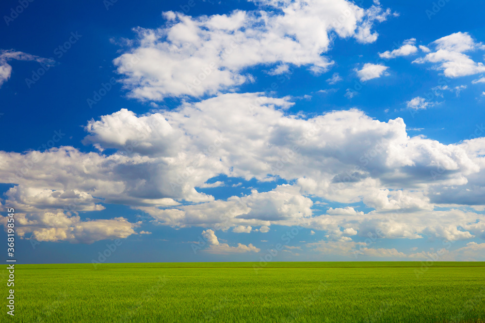 beautiful landscape. green field and clouds