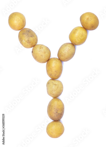 Letter Y of the English alphabet from potatoes. A letter made of fruit on a white background.
