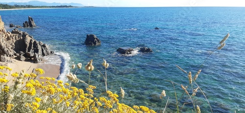 Konstfotografi immortelle bord de mer