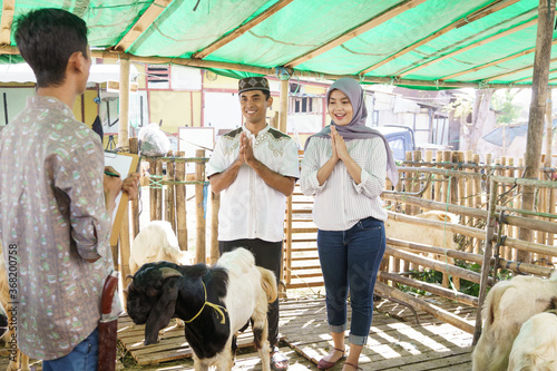 muslim couple at animal trade farm buying a goat for eid adha sacrifice ceremony