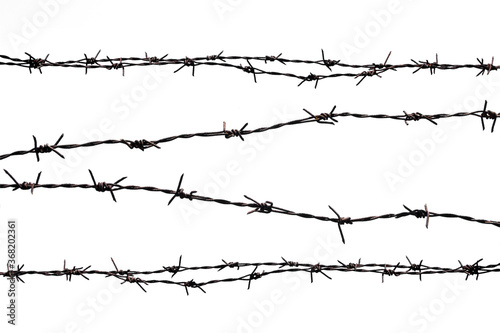 Rusty barbed wire splits on a white background. photo