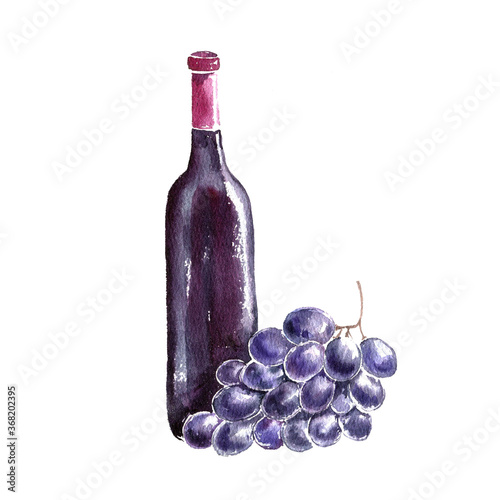 bottle of red wine and grape drawing in watercolor photo