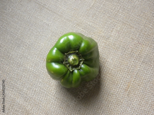 Green color raw whole Bell pepper photo