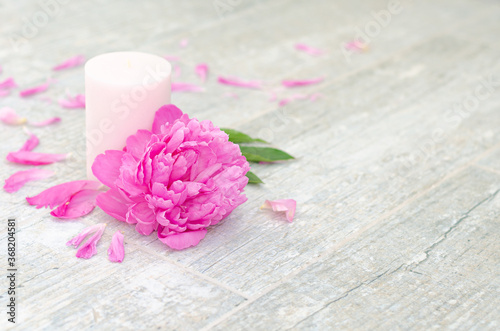 Beautiful pink peony flowers and white candle on light grey stone background with copy space for your text top view. Greeting card  SPA and romantic concept.