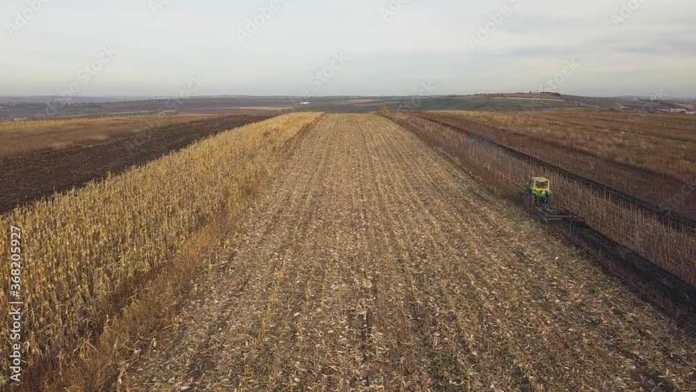 A Small Tractor Plows The Land At The End Of The Season, Preparation For Sowing, Late Autumn