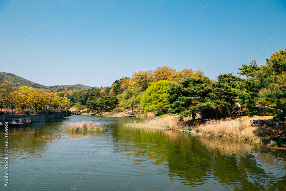 Pond and green trees at The Independence Hall of Korea in Cheonan, Korea