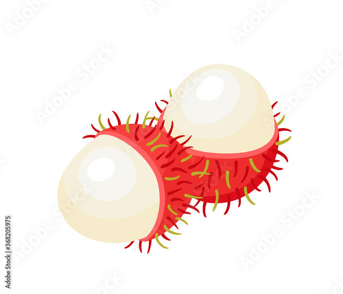 Vector illustration of exotic fruit rambutan isolated on white.