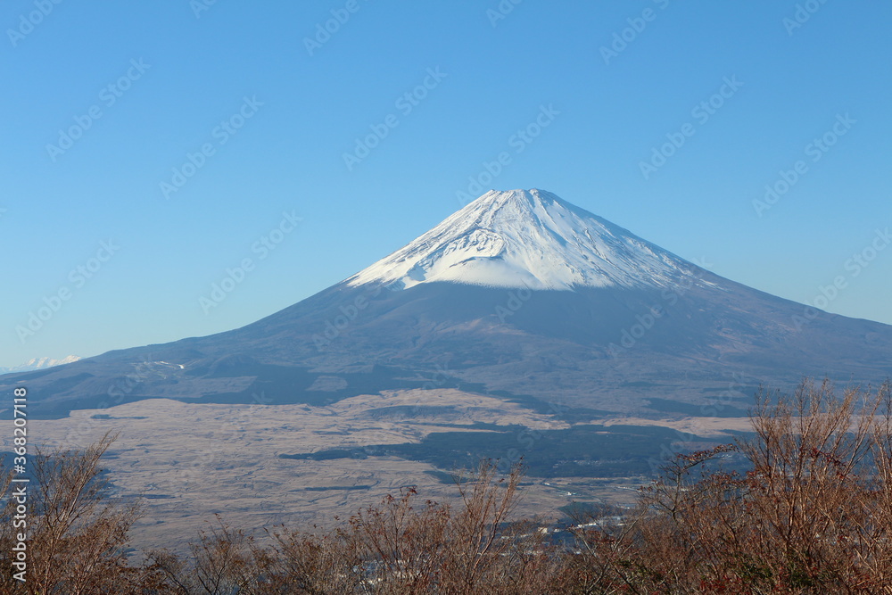 くっきり晴れた時の冬景色の富士山