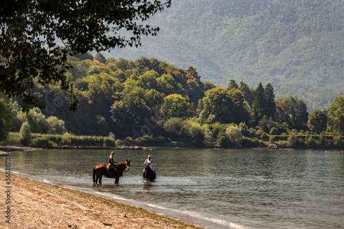 Horses along the lake