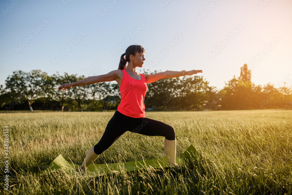 Young beautiful woman is making sport, she is doing the yoga exercises on a grass in the midst of nature on sunset. Young beautiful woman is making sport, she is doing the yoga exercises on a grass in the midst of nature on sunset.