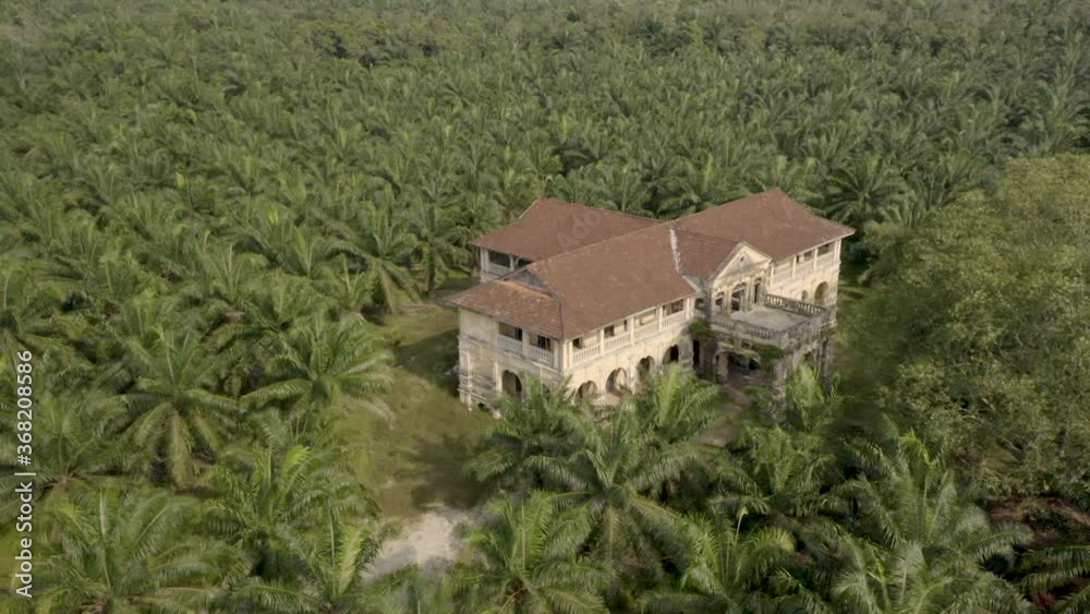 Abandoned mansion lies within a Palm Tree Plantation in Malaysia, South East Asia. Abandoned mansion lies within a Palm Tree Plantation in Malaysia, South East Asia.