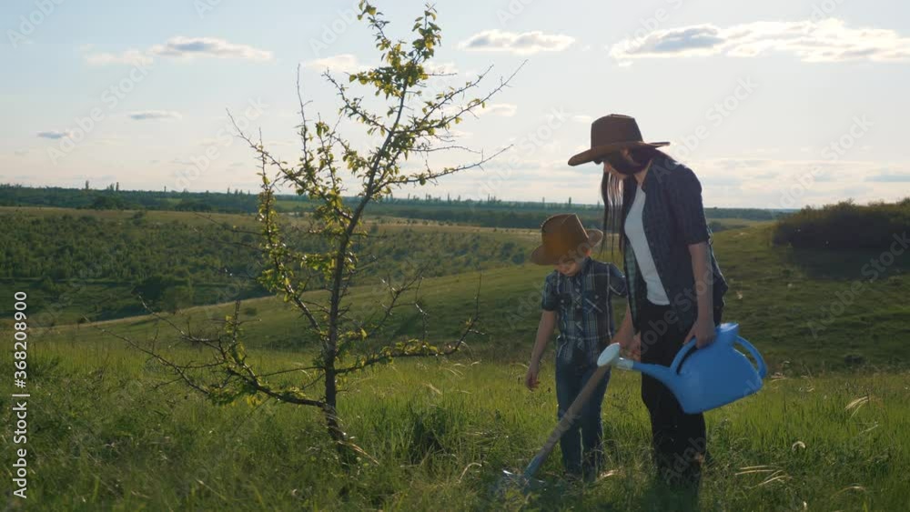 Teamwork Happy Family Mom And Son Plant A Young Tree A Symbol Of New teamwork-happy-family-mom-and-son-plant-a-young-tree-a-symbol-of-new