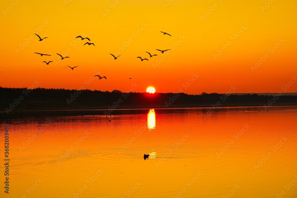 Obraz premium sunset on the lake