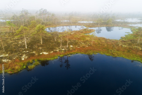 Soomaa National Park. Aerial view of bog lakes in Kuresoo bog during foggy sunrise in summer in Estonian nature  Northern Europe. 
