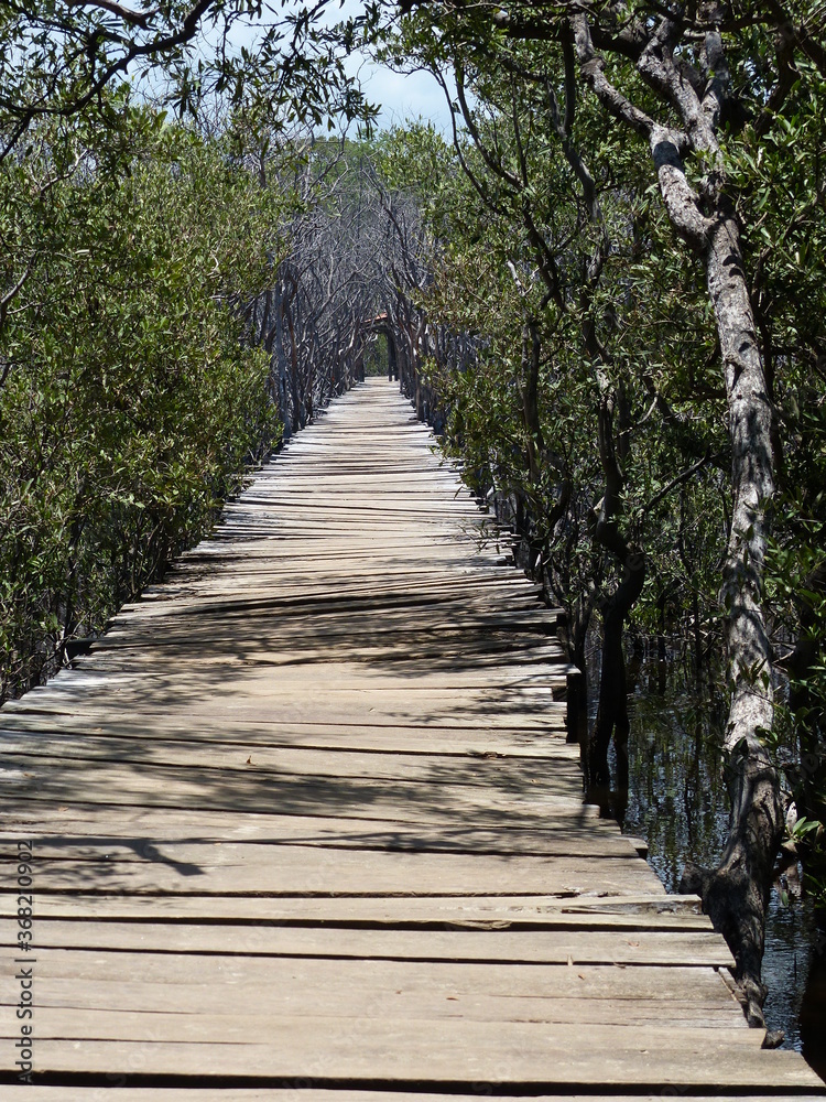 pont 