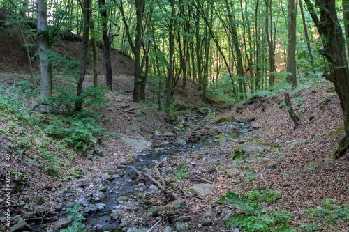 Small creek in the Pilis mountains