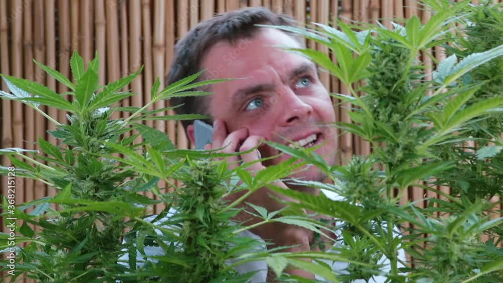 A man talking on the phone while sitting in the bushes on the balcony. Exchange of audio messages at a distance. Communication of people in their free time. A man talking on the phone while sitting in the bushes on the balcony. Exchange of audio messages at a distance. Communication of people in their free time.