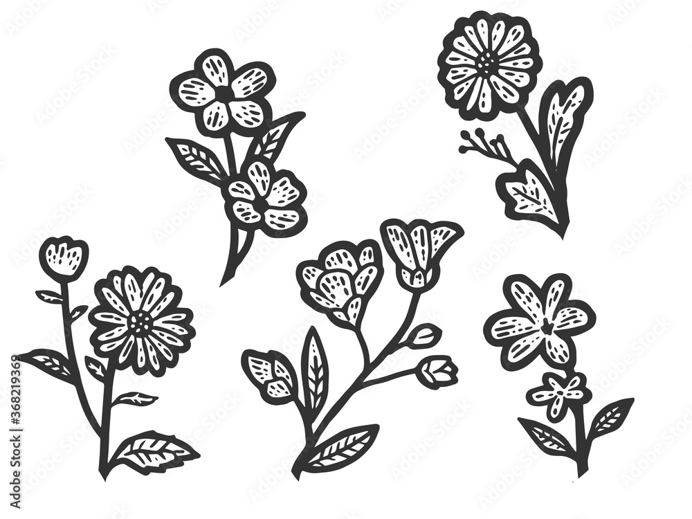 Set of isolated wildflowers. Sketch scratch board imitation. Black and white