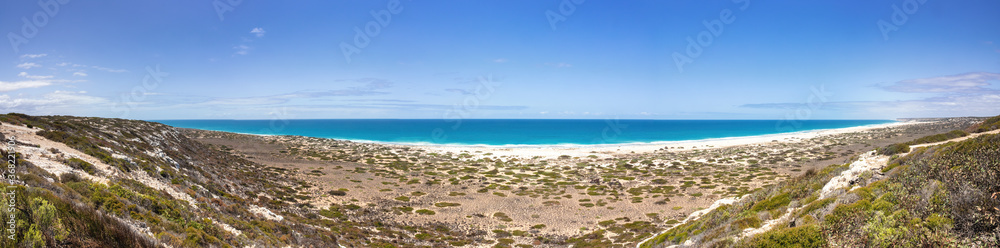 Great Australian Bight beach panorama