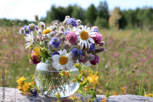A bouquet of wild flowers (chamomile, hare's-foot clover, zigzag clover, sheep's bit scabious, perforate St John's-wort) in a round vase in the field