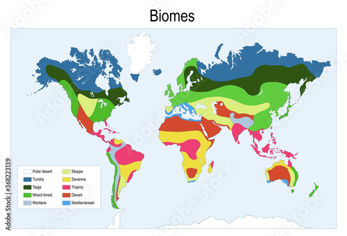 Color map of The main biomes in the world. photo