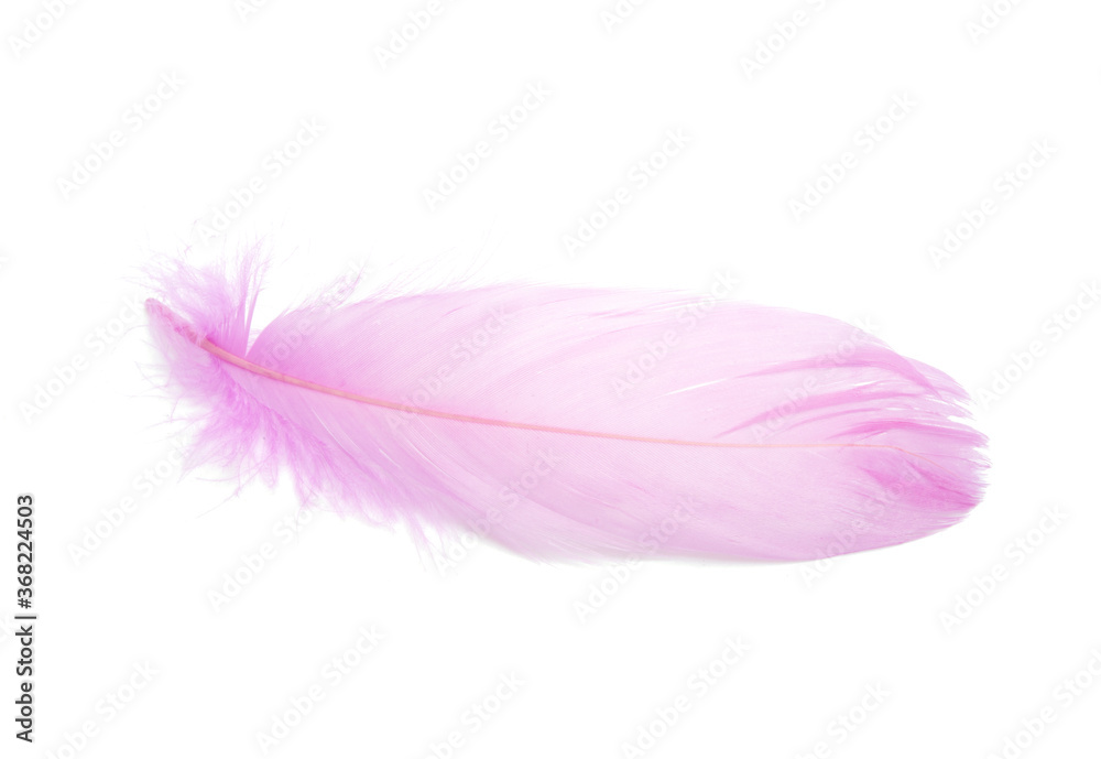 Fluffy bird feather decorative style in studio isolated on the white Fluffy bird feather decorative style in studio isolated on the white