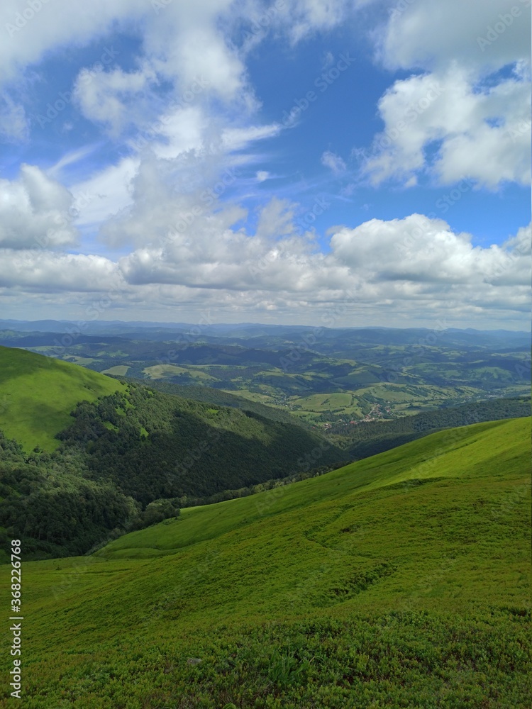 book cover. Colorful summer landscape in the Carpathian mountains. Mountain landscape