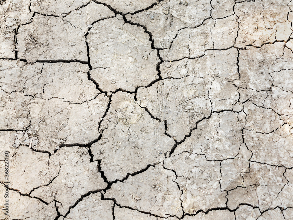 Fototapeta premium Textured background of dry cracked earth surface. drought in summer