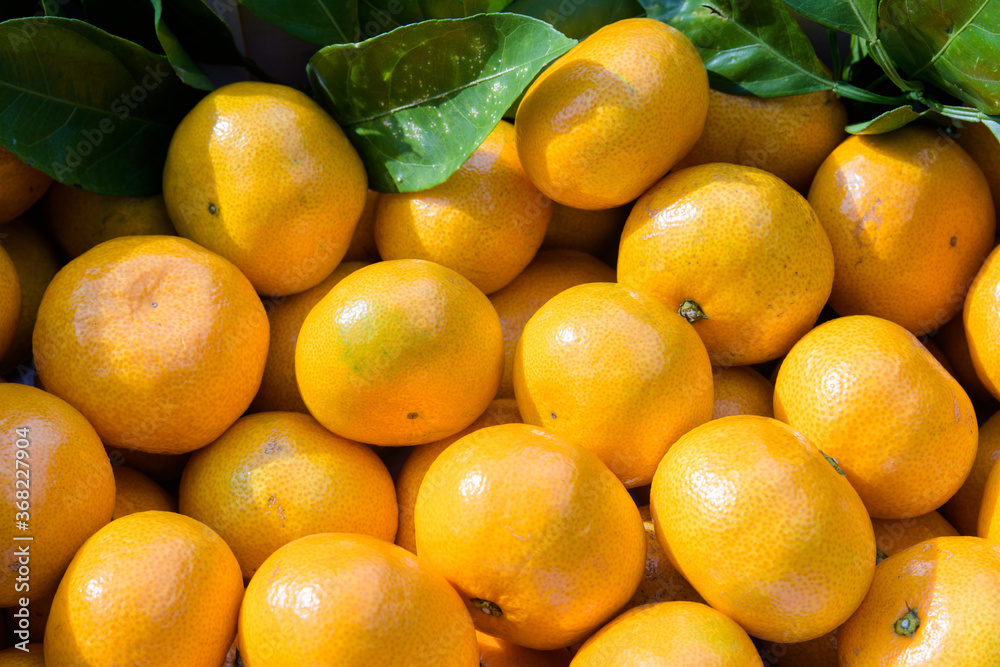 winter fruit tangerines rich in vitamin C winter fruit tangerines rich in vitamin C
