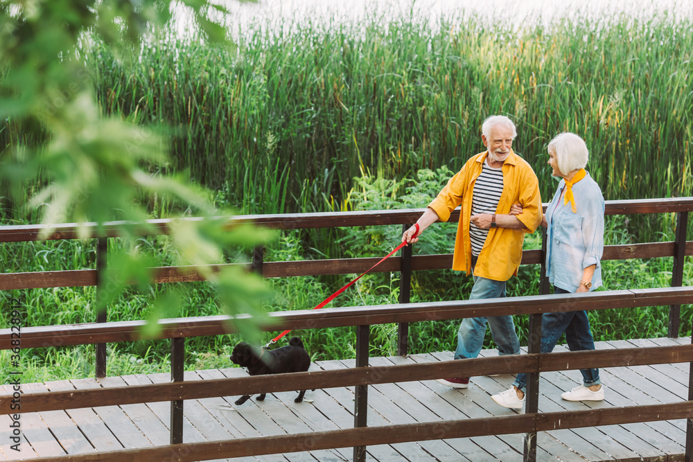 Selective focus of smiling senior couple strolling with pug dog on leash on bridge in park