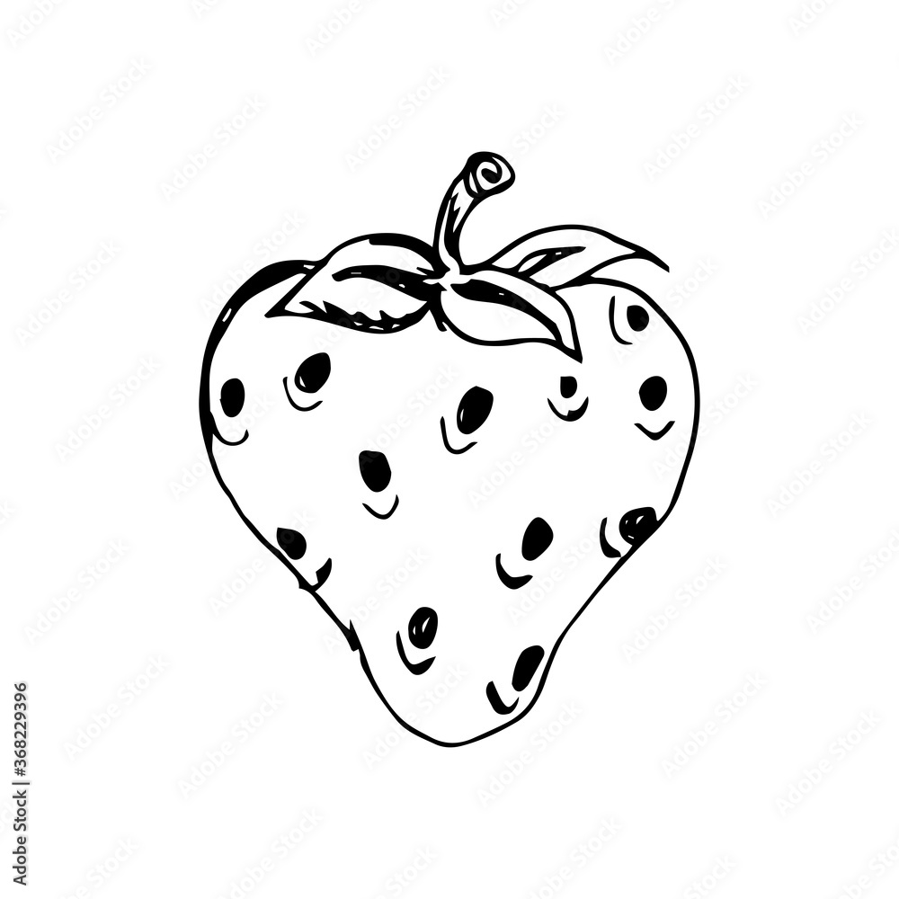 Fototapeta premium Strawberry Hand Drawn Illustration