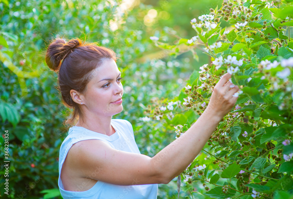 Beautiful girl gardener ties up blackberry bushes in his garden Beautiful girl gardener ties up blackberry bushes in his garden